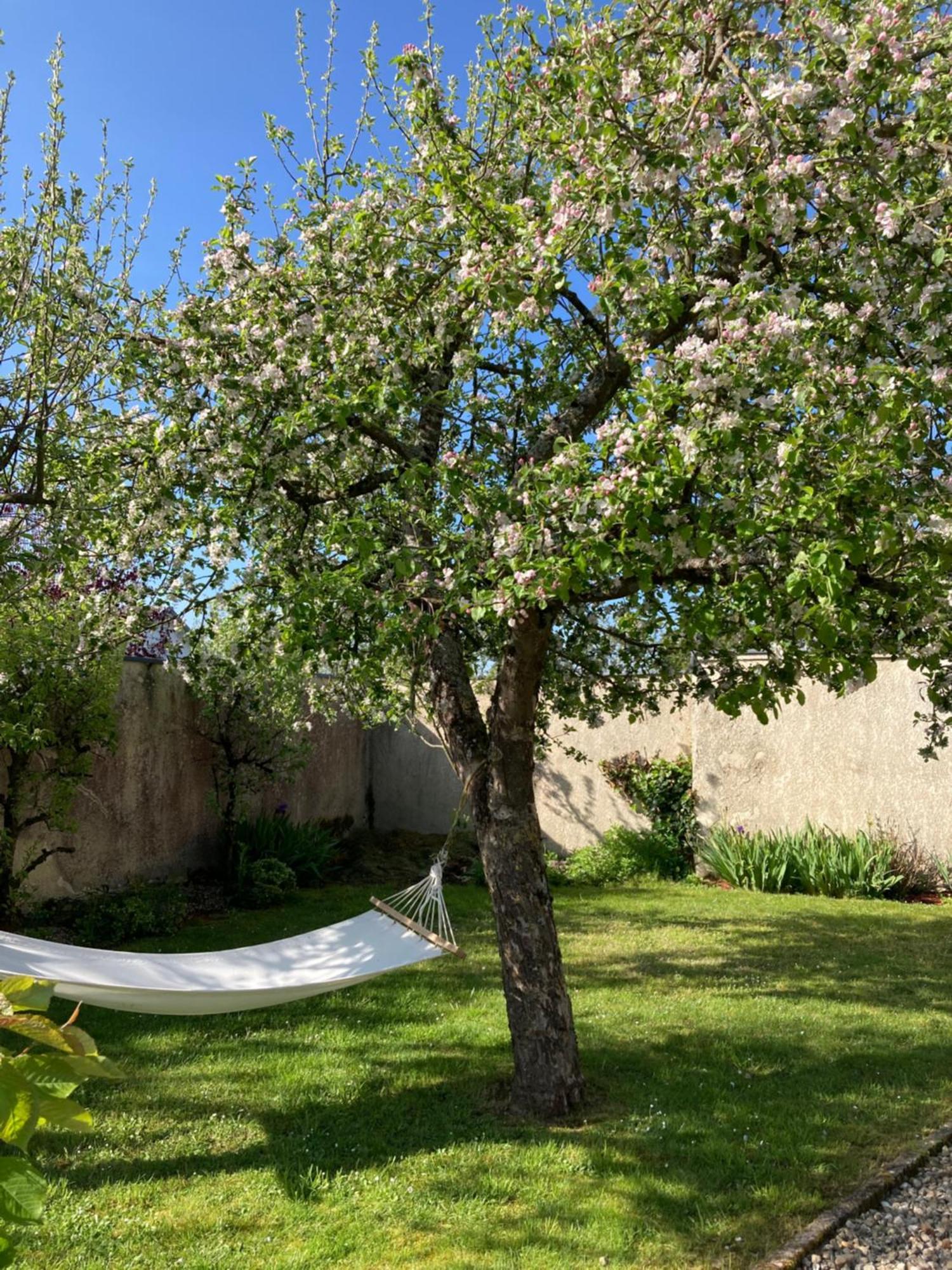 Mouzay  Maison Les Beaux Arts מראה חיצוני תמונה