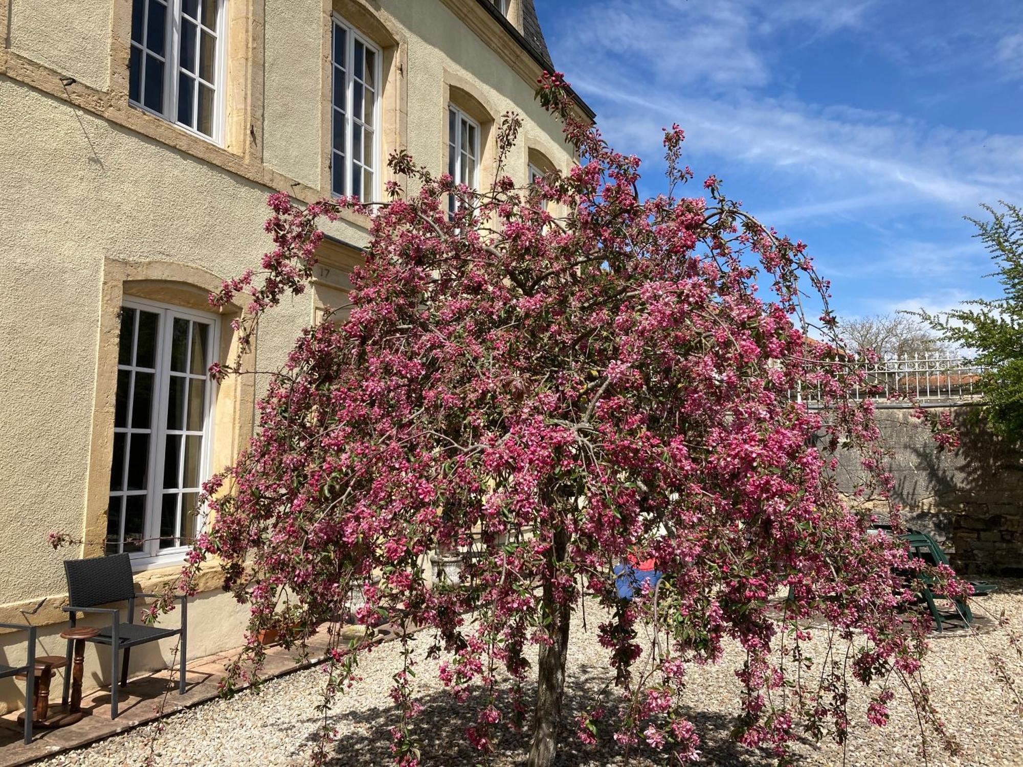 Mouzay  Maison Les Beaux Arts מראה חיצוני תמונה